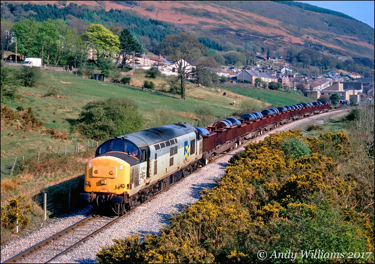 37903 at Cwm