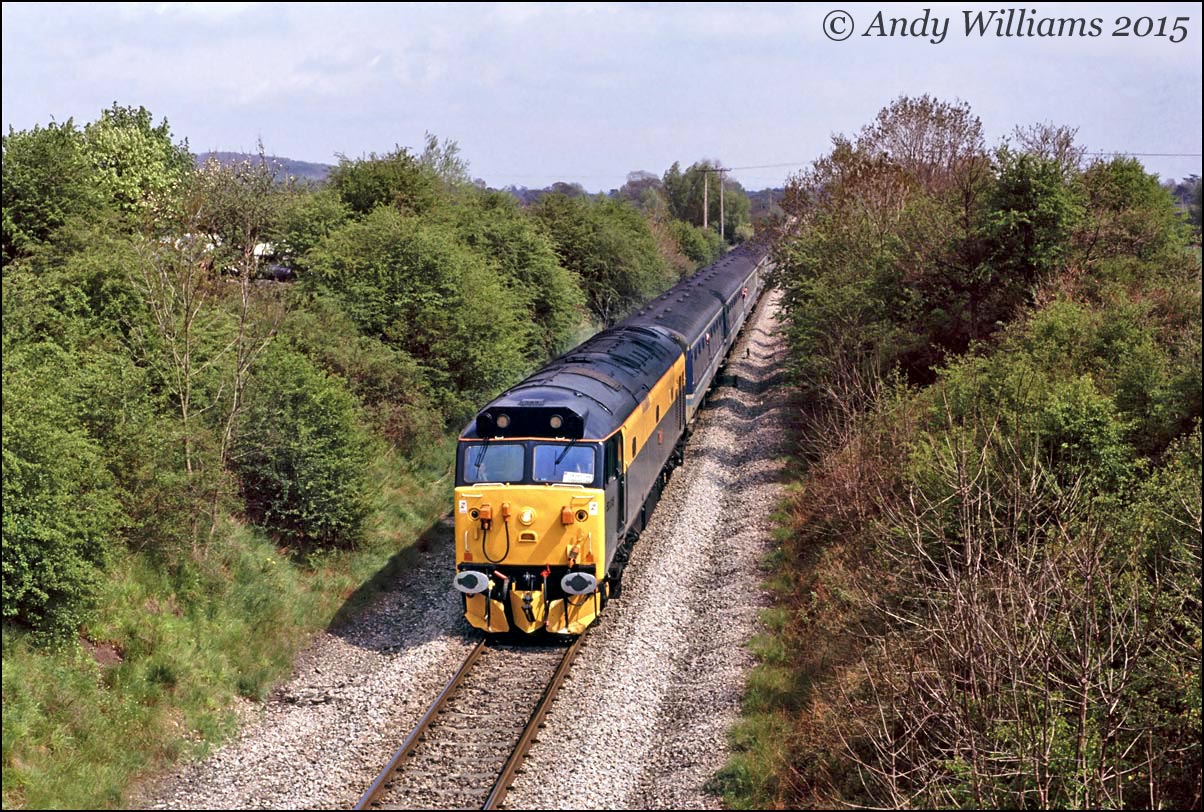 50015 at Whitestone