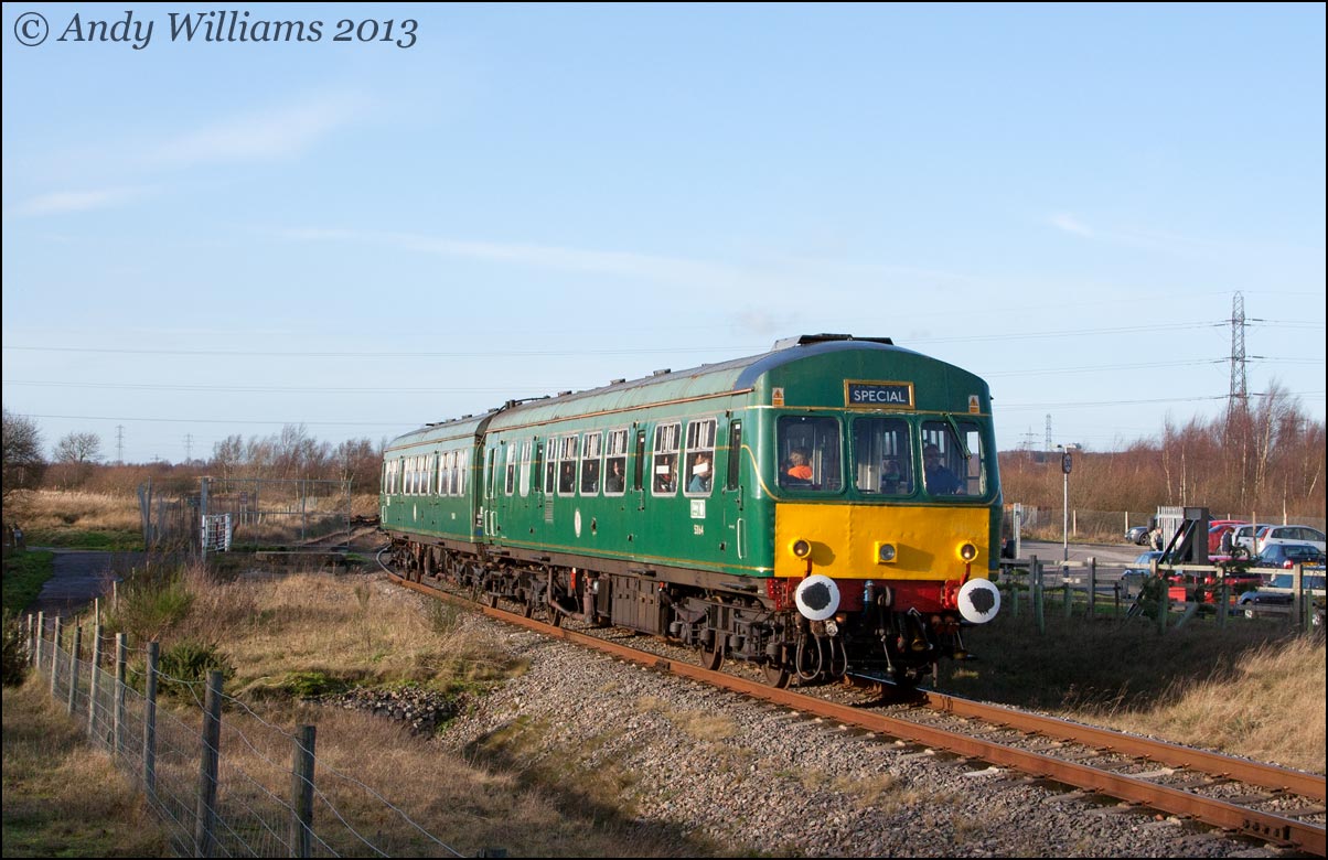 Daisy at Chasewater Heaths