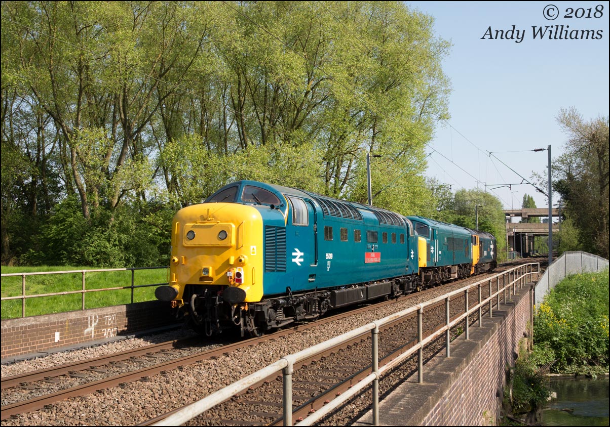 55019, 45041 and 50049 near Tame Bridge