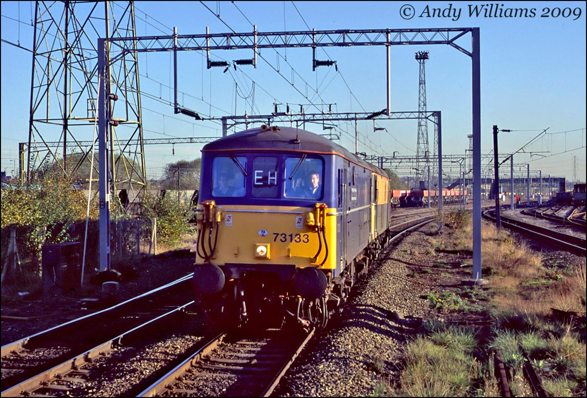73133 and 73105 at Bescot