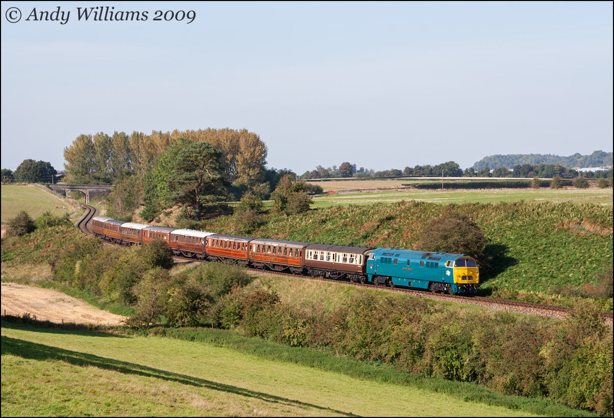 D1013 at Eardington