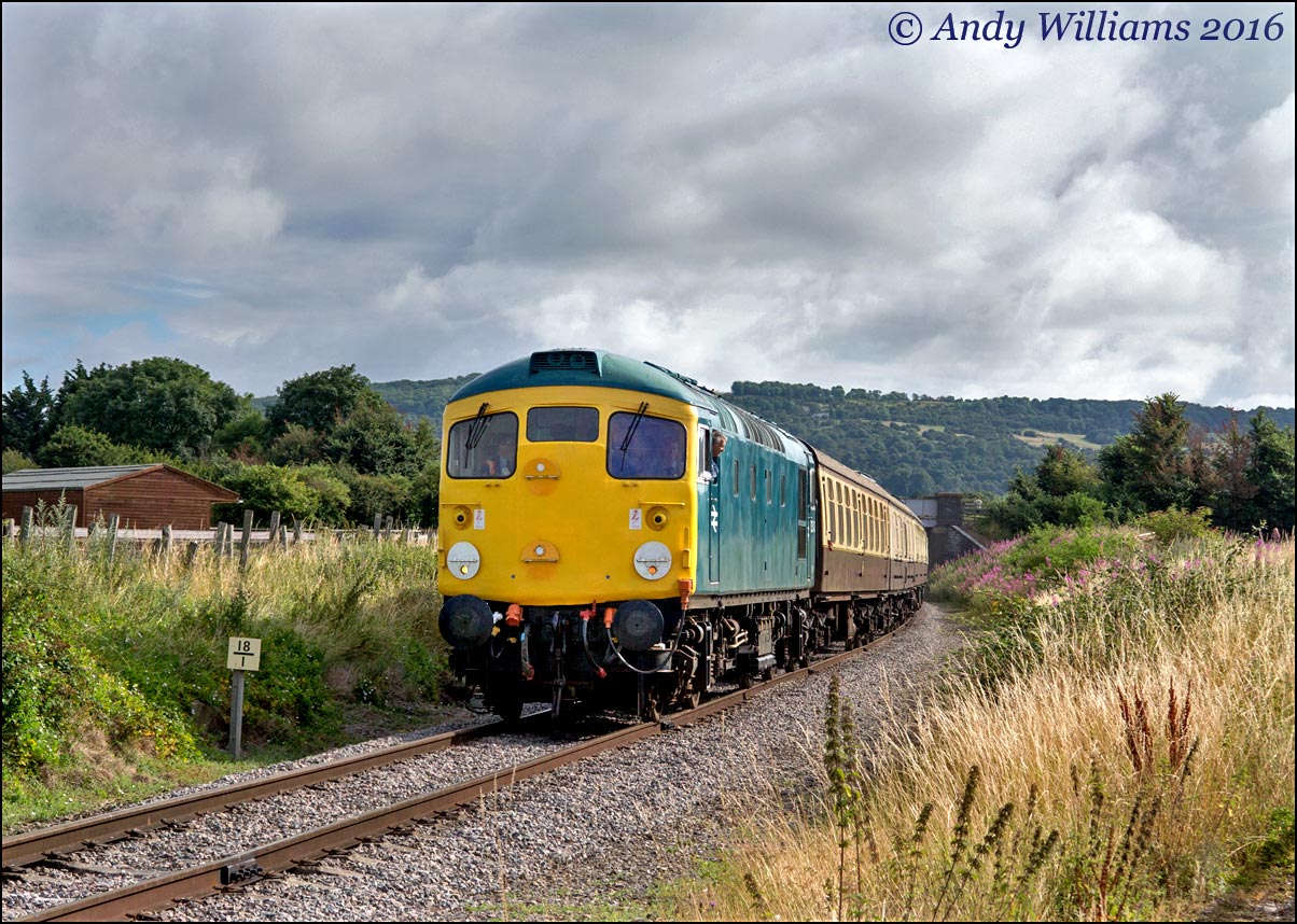 D5343 at Cheltenham Racecourse