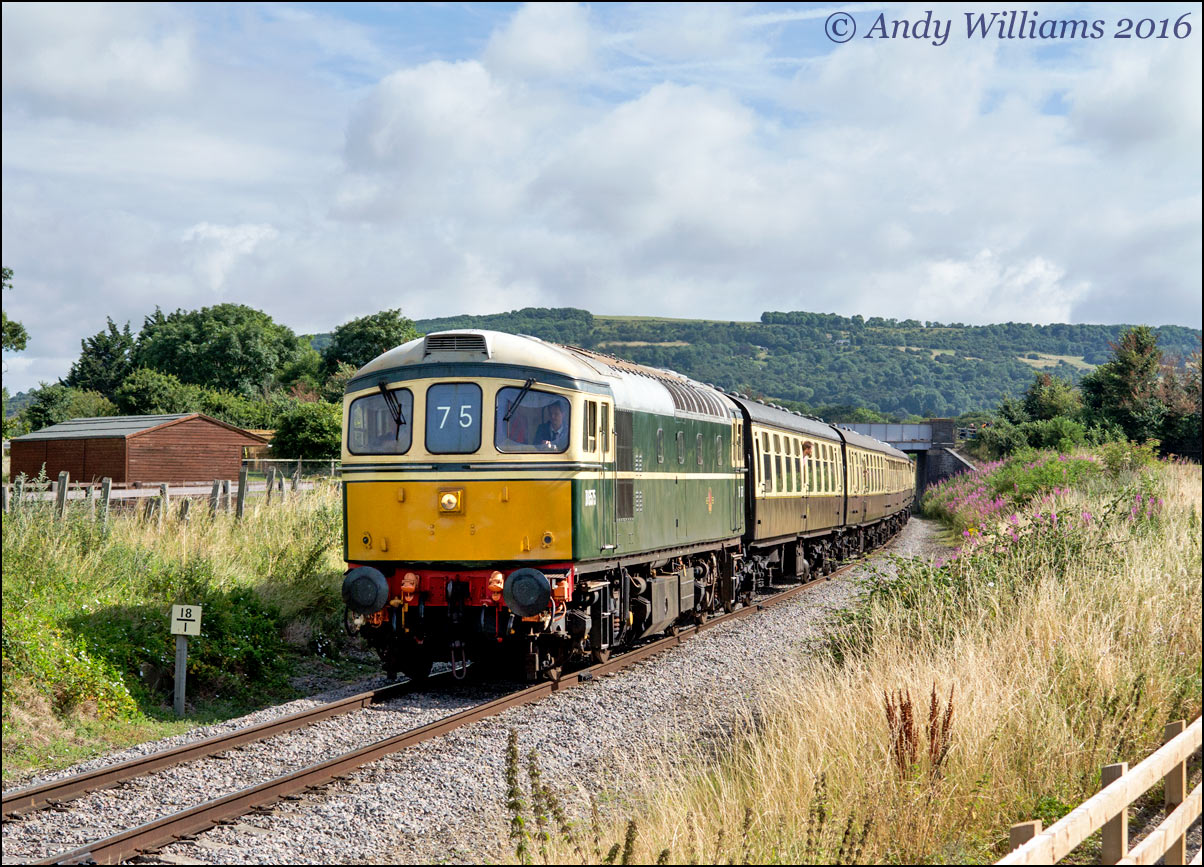 D6575 at Cheltenham Racecourse