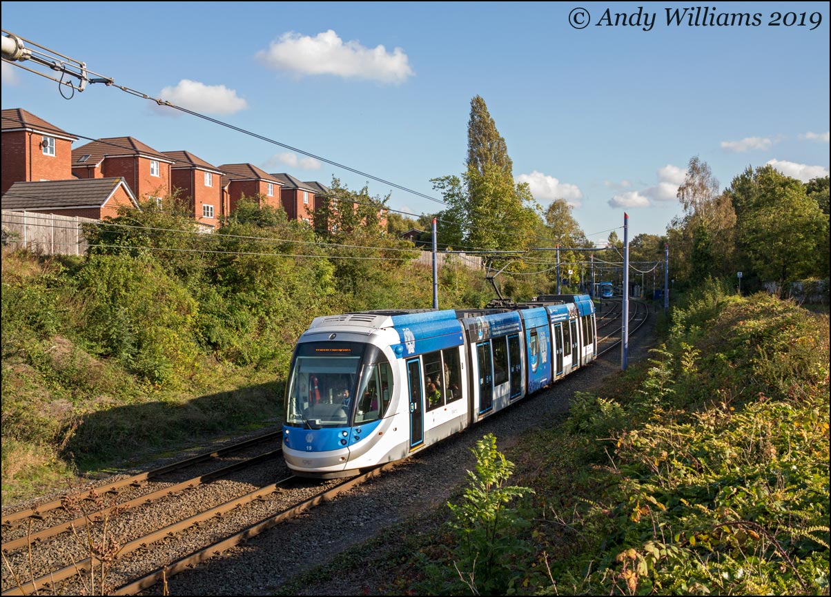 Tram 19 at Kenrick Park