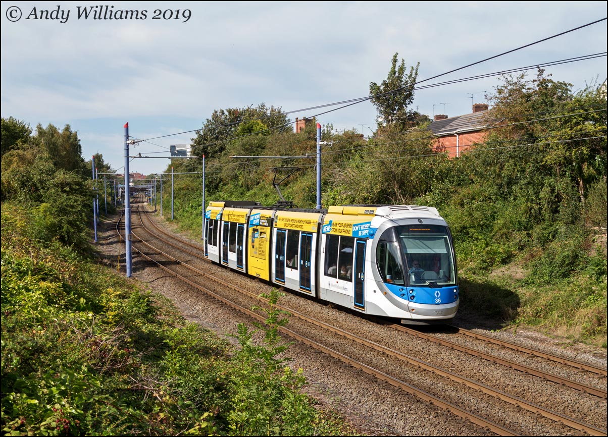 Tram 36 near Kenrick Park