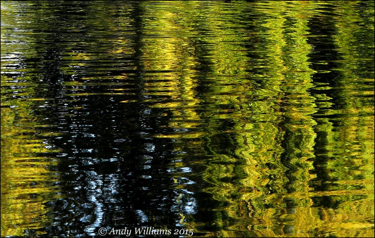 Reflections on Hydes Road pool, Wednesbury