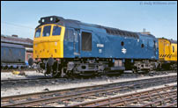 25286 at Newton Heath