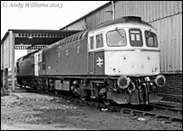 33056 and 33048 at Bescot