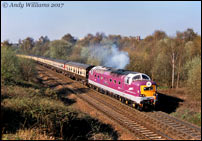 9016 at Ryecroft