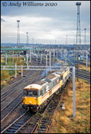 73134 and 73105 at Bescot