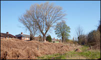 Between Pleck Jct and Bescot Curve Jct